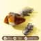 Interactive Bird Cat Toy With Sound Catnip Wall Hanging Chasing Toy For Indoor Cats 23
