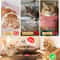 Magic Organ Cat Scratching Board Foldable Accordion Cat Scratcher Toy For Claw Care Interactive P 3