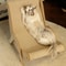 Wooden Cat Lounge Chair Scratcher Sisal Cat Scratch Chair For Relaxing Playing Claw Care 2