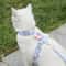 BloomWalk Adjustable Flower Pet Harness Leash Set For Cats Puppies Small Dogs 0