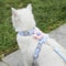 BloomWalk Adjustable Flower Pet Harness Leash Set For Cats Puppies Small Dogs 0