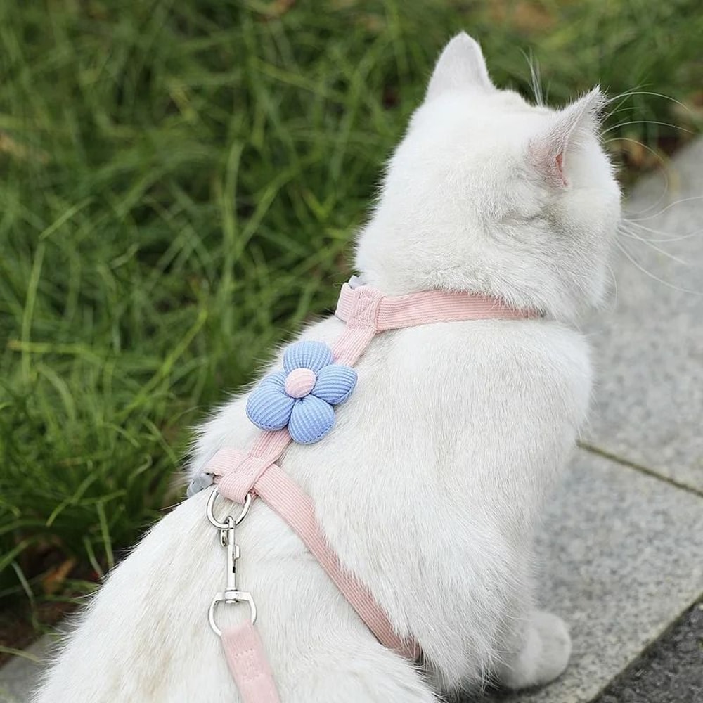 BloomWalk Adjustable Flower Pet Harness Leash Set For Cats Puppies Small Dogs 8
