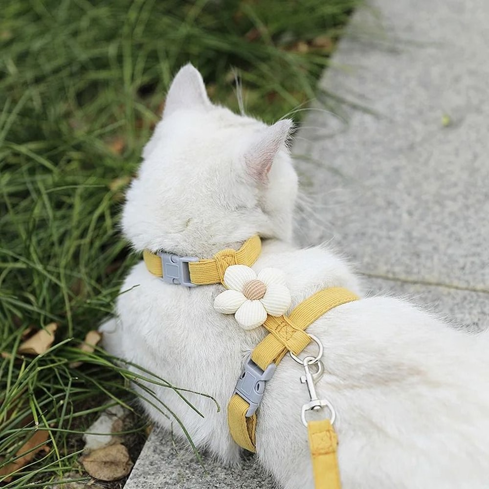 BloomWalk Adjustable Flower Pet Harness Leash Set For Cats Puppies Small Dogs 7