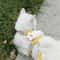BloomWalk Adjustable Flower Pet Harness Leash Set For Cats Puppies Small Dogs 7
