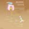 Rechargeable Interactive Flying Bird Cat Toy Automatic Hanging Hunting Toy For Exercise Enrichment 3