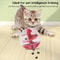 TreatRoll Interactive Cat Treat Dispensing Ball Slow Feeder Puzzle Toy For Cats Kittens 0