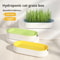 Hydroponic Cat Grass Growing Kit With Soilless Planter For Fresh Pet Treats 1