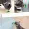 Catnip Energy Lick Ball Treat For Cats With Fish Flavor Hydration Play Support 0