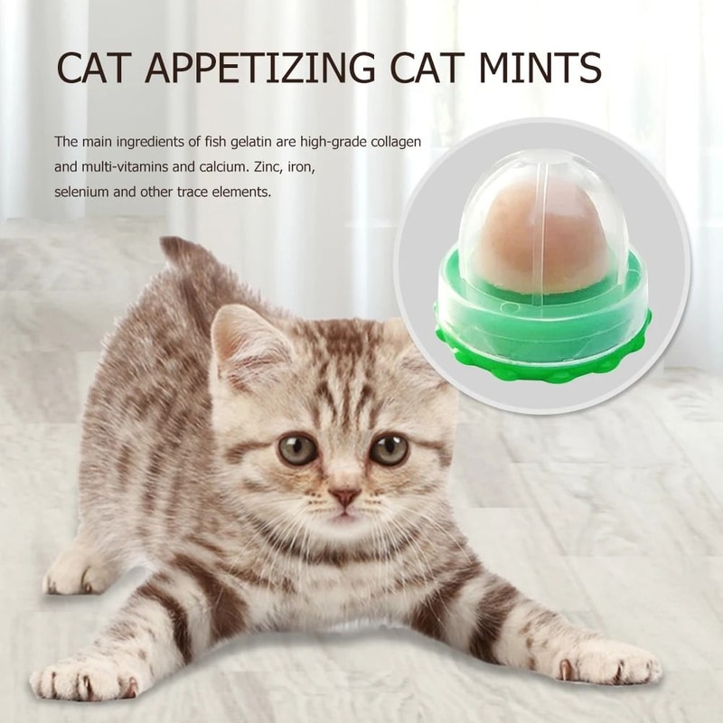 Catnip Energy Lick Ball Treat For Cats With Fish Flavor Hydration Play Support 2