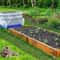 Humane Cat Scat Mat AntiDigging Garden Protector Prickle Strip Barrier For Pets 6