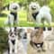 EscapeProof Reflective Cat Harness And Leash Set Adjustable Kitten Vest For Outdoor Walking 5