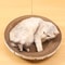 Round Corrugated Cat Scratcher Bed For Claw Care Lounging Furniture Protection 2