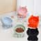 Elevated Ceramic Cat Bowl For Comfortable Feeding And Drinking 1