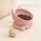 Elevated Ceramic Cat Bowl For Comfortable Feeding And Drinking 4