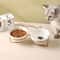 Raised Ceramic Double Cat Bowl For Food And Water 0