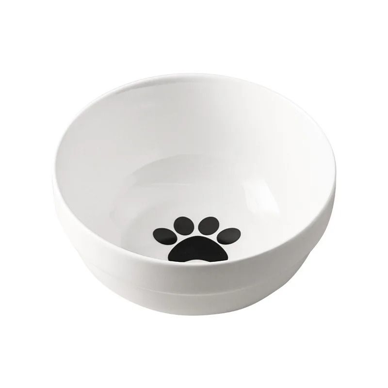 Raised Ceramic Double Cat Bowl For Food And Water 6