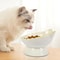 Raised Cat Bowl Elevated Pet Feeding Dish 2