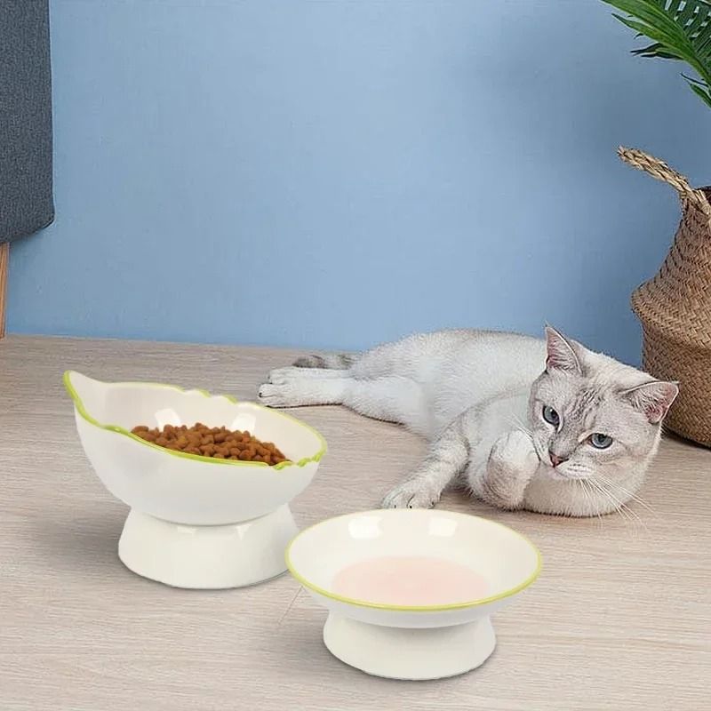Raised Cat Bowl Elevated Pet Feeding Dish 3