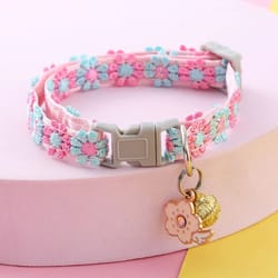 colorful paw print pet collar with bell