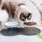 Raised Ceramic Cat Bowl With Metal Stand 0