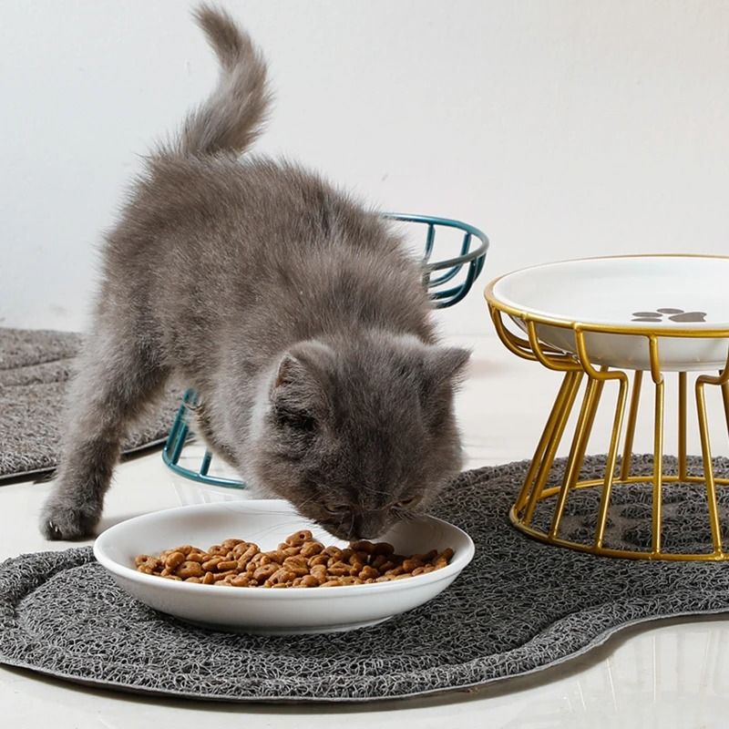 Raised Ceramic Cat Bowl With Metal Stand 4