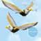 Interactive Flying Bird Cat Toy With Hanging Rope Automatic Motion 2
