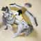 Interactive Flying Bird Cat Toy With Hanging Rope Automatic Motion 5
