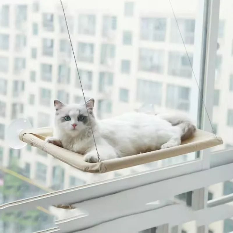 Sunny Window Cat Hammock With 44 Lb Capacity Elevated Hanging Bed Lounge Perch 4