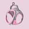 Reflective Breathable Pet Harness Leash Set For Cats And Small Dogs Adjustable No Pull Vest 8