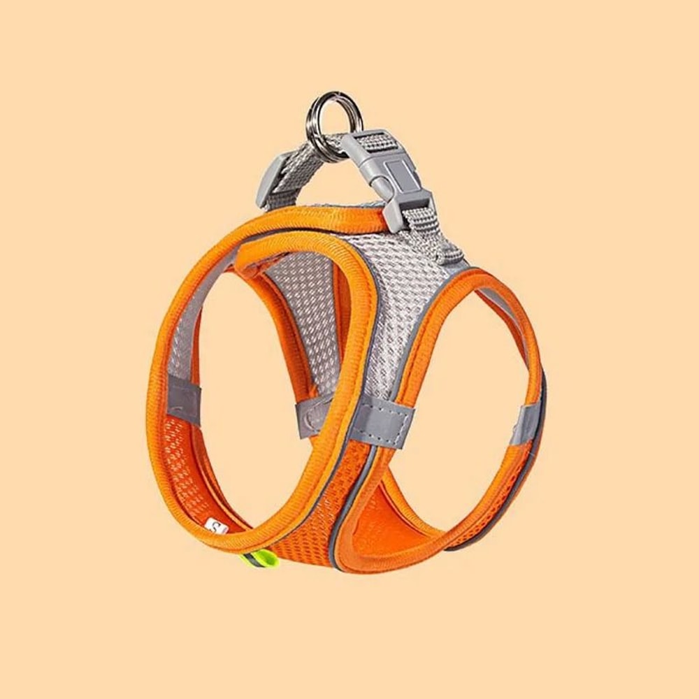Reflective Breathable Pet Harness Leash Set For Cats And Small Dogs Adjustable No Pull Vest 7