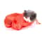 Breathable Mesh Cat Grooming Bathing Bag AntiScratch Pet Restraint For Nail Trimming And Care 3