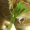 Catnip Celery Chew Stick Natural Dental Cleaning Toy For Cats Interactive Kicker Teeth Care Toy 2