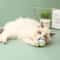 Interactive Cotton Rope Ball Cat Toy For Chewing Chasing Training Play 5