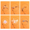 Interactive Feather Bird Cat Wand Toy With Bell Realistic Teaser For Kittens Cats 4