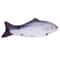 USB Rechargeable Flopping Fish Cat Toy With Realistic SelfMoving Motion For Cats Small Dogs 4