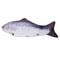 USB Rechargeable Flopping Fish Cat Toy With Realistic SelfMoving Motion For Cats Small Dogs 7