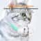 Rechargeable Automatic Laser Cat Collar Toy With Infrared Interactive Play For Cats Kittens 5