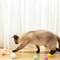 Soft Pom Pom Cat Toy Balls For Interactive Chasing Batting Indoor Play 4