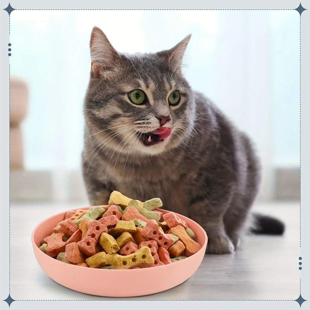 4Piece Wide Shallow NonSlip Cat Feeding Bowls Set For Food Water 2