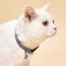 Colorful Geometric Doodles Adjustable Cat Collar With Bell For Kittens Small Pets 2