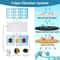 PureFlow Pet Mate Fountain Filter Cartridges 6PCS Replacement Water Filters For Cat Mate Dog Mate 2
