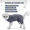 ComfortCare Cat Recovery Suit Soft Cotton PostSurgery Onesie For Cats Kittens 0