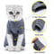 ComfortCare Cat Recovery Suit Soft Cotton PostSurgery Onesie For Cats Kittens 4