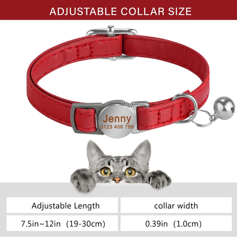 SafePaw Personalized Leather Breakaway Cat Collar With Engraved Name Bell 6