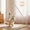 ProChase Carbon Fiber Telescopic Cat Wand Toy With Feather Teaser 0