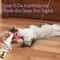 PurrGuide Catnip Training Spray For Cats Kittens 2