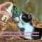 PurrGuide Catnip Training Spray For Cats Kittens 3