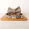 Personalized Bow Cat Collar With Engraved Nameplate And Bell 9