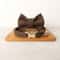 Personalized Bow Cat Collar With Engraved Nameplate And Bell 11