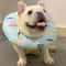 Adjustable Soft Recovery Collar For Cats Small Dogs After Surgery 4